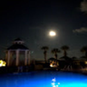 Meet your Posher, Amelia